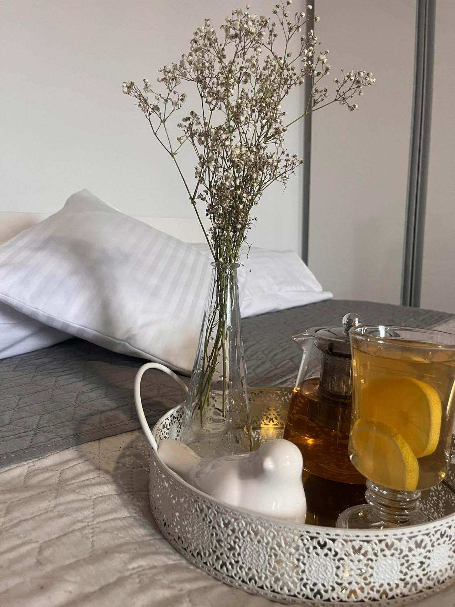 Apartament Na Starowce VII Pszczyna Eksteriør billede