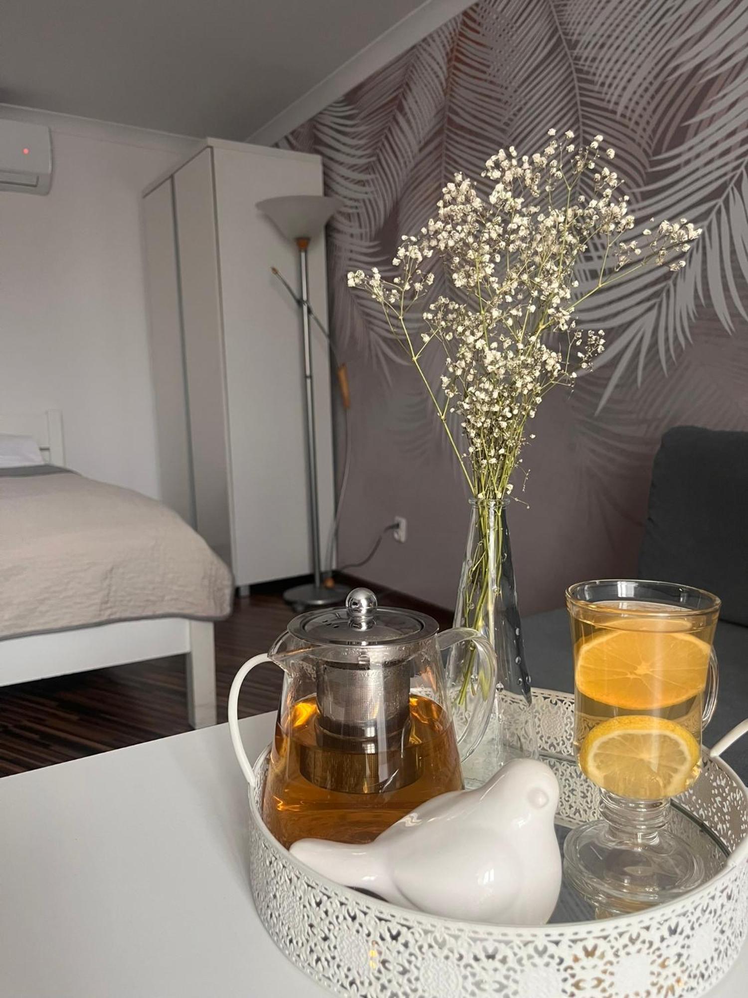 Apartament Na Starowce VII Pszczyna Eksteriør billede